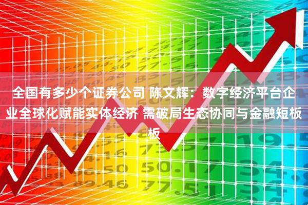全国有多少个证券公司 陈文辉：数字经济平台企业全球化赋能实体经济 需破局生态协同与金融短板