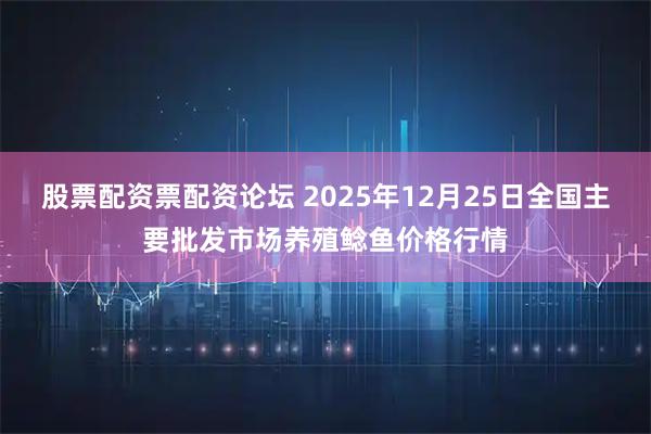 股票配资票配资论坛 2025年12月25日全国主要批发市场养殖鲶鱼价格行情
